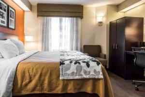 a hotel room with a bed and a desk and a window at Quality Inn Bridgeport-Clarksburg in Bridgeport