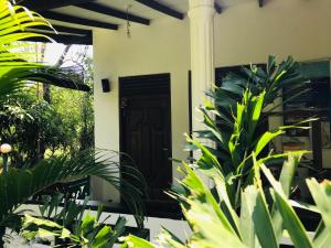 Zahrada ubytování Sigiri Saman Home Stay