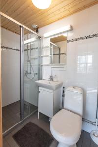 a bathroom with a toilet and a sink and a shower at Guesthouse Koli Freetime in Ahmovaara