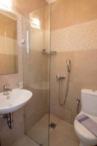 a bathroom with a shower and a toilet and a sink at Cosmopolit in Athens
