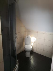 a bathroom with a toilet and a glass shower stall at Apartament bocian in Kruklanki