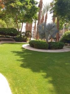 a park with palm trees and a green lawn at רויאל פארק1 in Eilat
