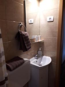 a small bathroom with a sink and a toilet at Guest House Tara in Moravske-Toplice