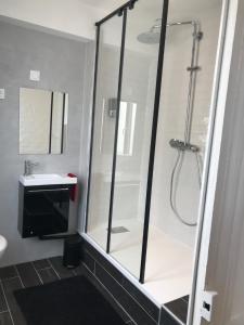 La salle de bains est pourvue d'une douche et d'un lavabo. dans l'établissement Le secret de Léa, à Rouen