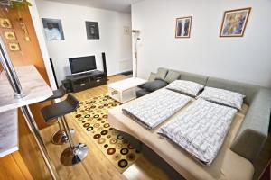 Μια τηλεόραση ή/και κέντρο ψυχαγωγίας στο Apartman Hugo