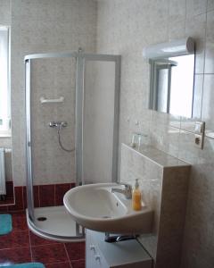 a bathroom with a sink and a shower with a mirror at Ferienwohnung Richter in Tharandt