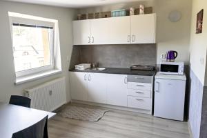 Kuchyň nebo kuchyňský kout v ubytování Apartmán Theo + 16 fotografií