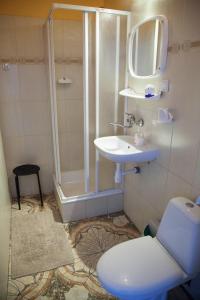 a bathroom with a shower and a toilet and a sink at O.W. LAZUR nad jeziorem in Żywiec