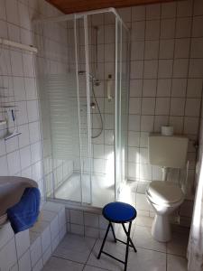 a bathroom with a shower and a toilet and a stool at Brausamhof in Seeon-Seebruck