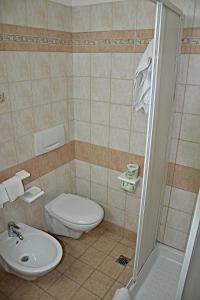 a bathroom with a toilet and a sink and a shower at Albergo Due Monti in Ateleta