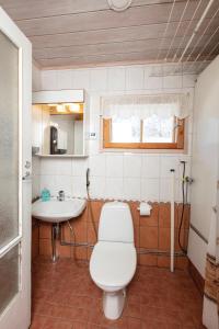 a bathroom with a toilet and a sink at Koli Freetime Cottages in Ahmovaara