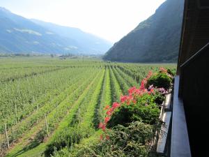 Un paisaje natural cerca of the bed and breakfast