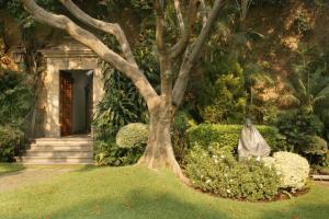Un jardín fuera de Las Mañanitas