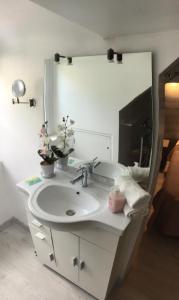 une salle de bain avec un lavabo blanc et un miroir dans l'établissement Au Près du Zoo, à Saint-Aignan 18 autres photos