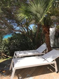 un banco blanco sentado junto a una palmera en Beachfront House Geremeas Sardegna, en Geremèas