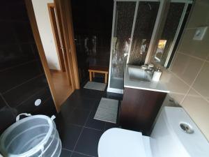 een badkamer met een toilet en een wastafel bij Alojamento 4 Bicas in Seia
