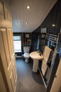 a small bathroom with a toilet and a sink at Madoc Brook Cottage in Conwy