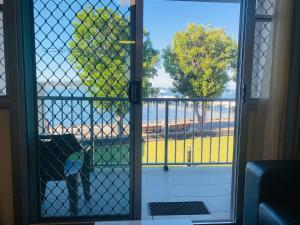 
a dog looking out of a window at a fence at Zorba Waterfront Motel in Batemans Bay
