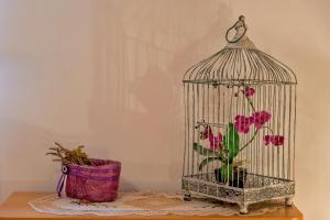 a bird cage with a flower in it next to a plant at Apartments Emi in Split