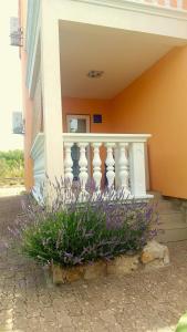 Balkón nebo terasa v ubytování Apartmani Bambolina i Zala