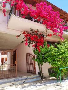 Gallery image of Kristi in Póros Kefalonias