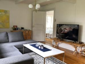 a living room with a couch and a flat screen tv at Cosy river house in Kvillsfors