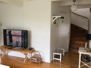 TV a/nebo společenská místnost v ubytování Cosy river house