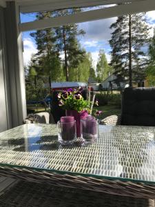 Zahrada ubytování Villa Daga