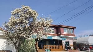 un arbre à fleurs devant un bâtiment dans l'établissement The Guesthouse DMZ Stay, à Paju