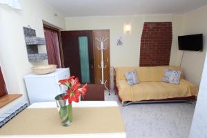 Televízia a/alebo spoločenská miestnosť v ubytovaní Apartment Amabile