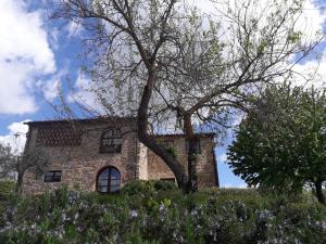Fotografie z fotogalerie ubytování Poggio Cennina Resort v destinaci Bucine