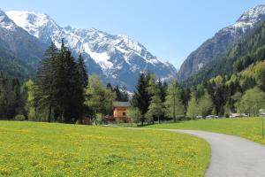 a road in a field with a mountain in the background at Chalet Presanella in Temù