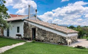 Foto da galeria de Casa Agricola Scorziello em Serre