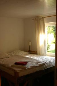 a bedroom with a bed with a window at Apartment Hof Schwalbennest in Kaarßen