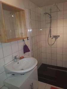 ein Badezimmer mit Waschbecken und Dusche in der Unterkunft Apartment Hof Schwalbennest in Kaarßen