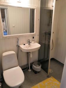 łazienka z toaletą i umywalką w obiekcie Koljonvirran Lomamökit w mieście Iisalmi