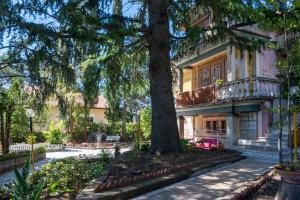 dom z drzewem przed nim w obiekcie Casa vacanze Gioia w mieście Trecastagni