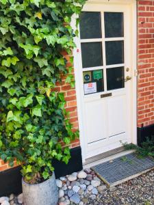 una porta bianca per una casa di mattoni con una pianta di Ølholm Cottage a Stege