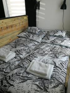 Katil atau katil-katil dalam bilik di Topsen Jedlina-Zdrój