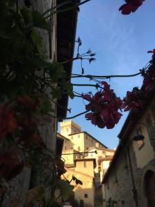 vistas a un callejón con edificios y flores en Da Agostino, la casa del latte, en Costa di Mezzate