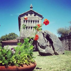een plantenbak met bloemen voor een vogelhuisje bij A casa de Mateu in Pontevedra