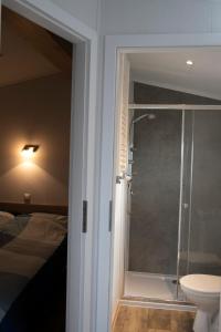 a bathroom with a shower and a toilet next to a bed at Zuiderzee-chalet 22 in Molkwerum