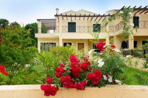 Zahrada ubytování ROSE HOUSE