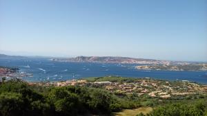 Billede fra billedgalleriet på dei lestrigoni i Palau