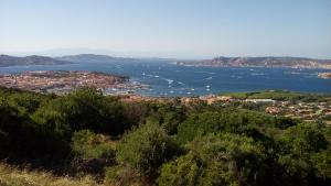 Billede fra billedgalleriet på dei lestrigoni i Palau