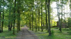 a dirt road through a forest with trees at Familuks - Apartementy Katowice Ligota in Katowice