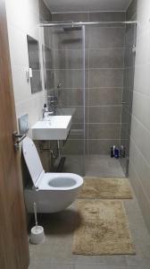 uma casa de banho com um WC, um lavatório e um chuveiro em Apartma Opalika em Cerkno