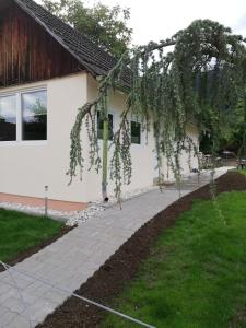 Ogród w obiekcie Ferienhaus Am-moore