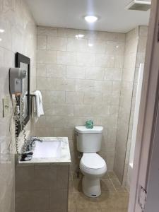 a bathroom with a white toilet and a sink at Blue Falls Motel in Tonawanda +3 photos