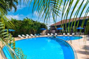 a swimming pool with chairs and umbrellas at Manacá Hotel in Foz do Iguaçu